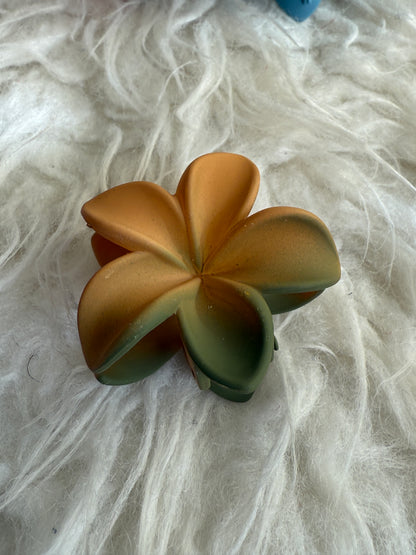 Korean mat hair claw  (pack of 4 )