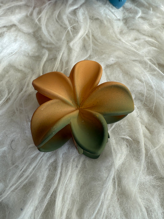 Korean mat hair claw  (pack of 4 )