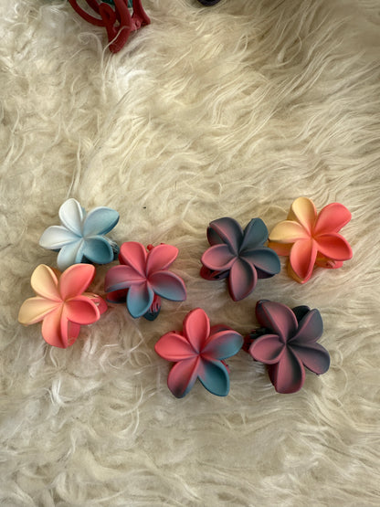 Korean mat hair claw  (pack of 4 )