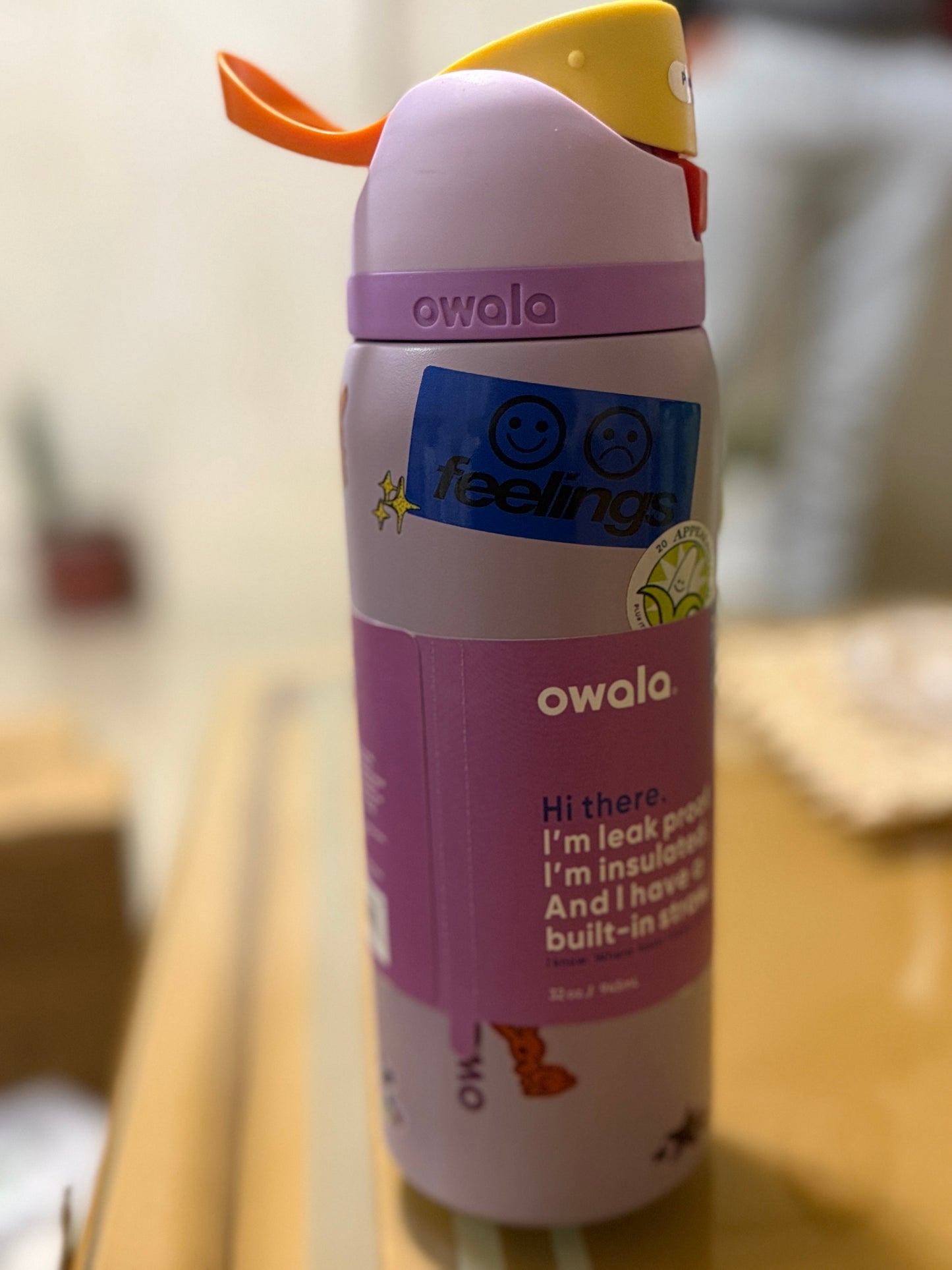 Owala water bottle
