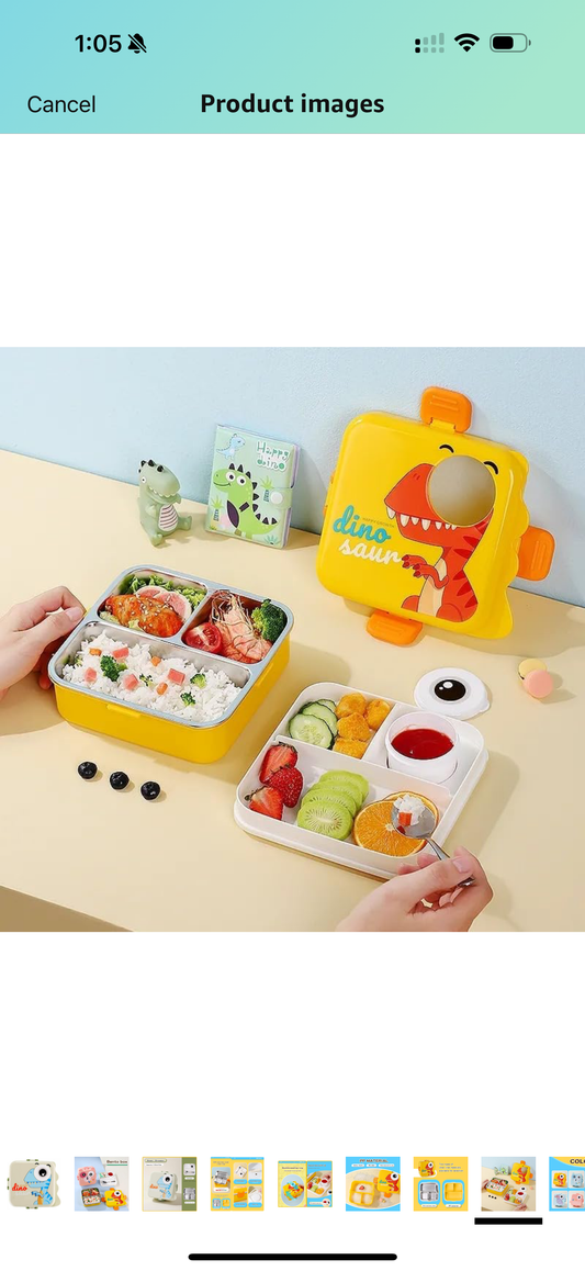 Insulated lunch box