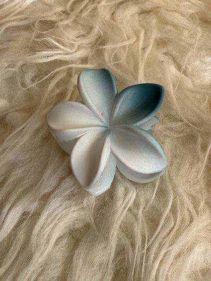 Korean mat hair claw  (pack of 4 )